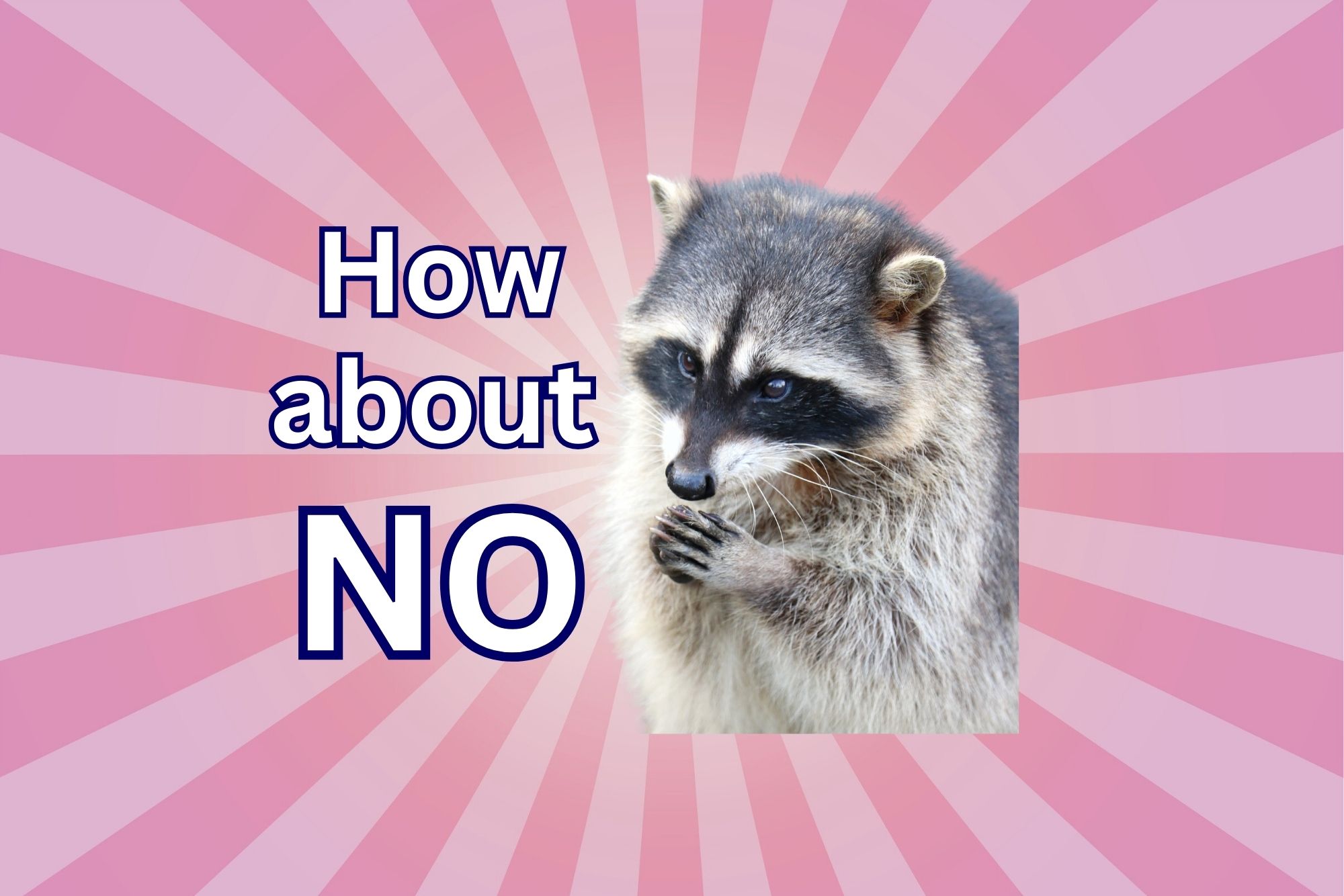 A raccoon with a hand over its mouth and the text "How about NO" written in large letters, conveying a playful and humorous approach to the concept of declining or refusing something.
