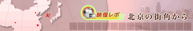 映像レポ
