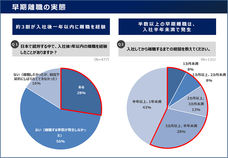 エイムソウル調査image1