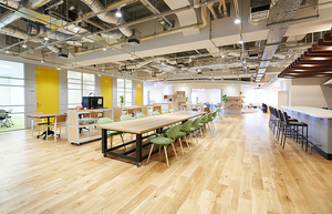 株式会社RSI
